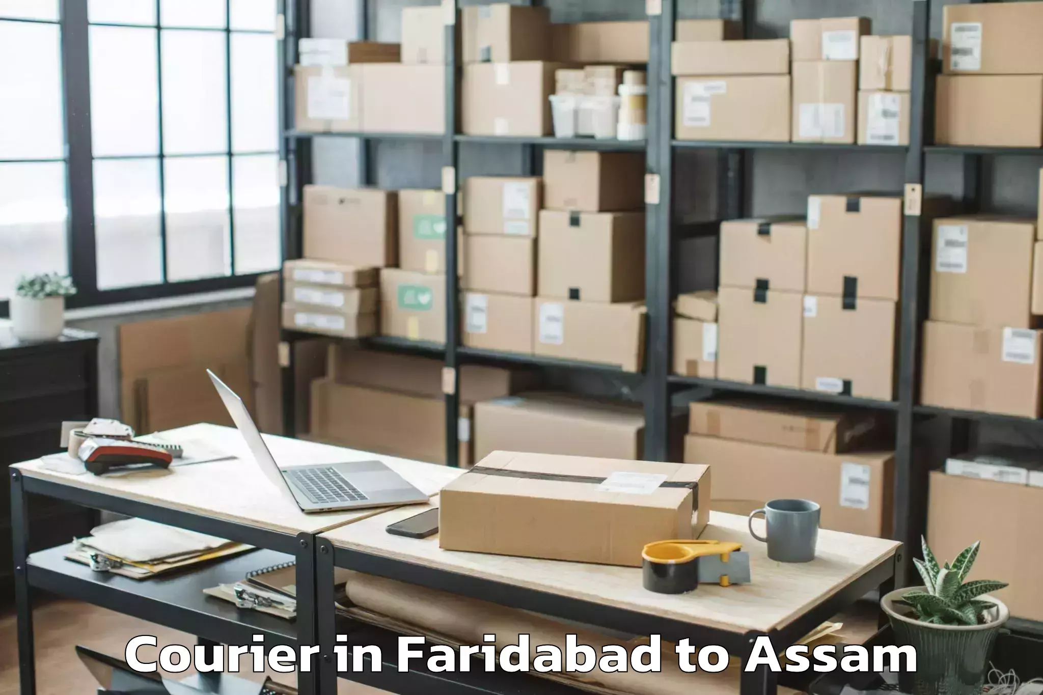 Book Faridabad to Pathorighat Pt Courier